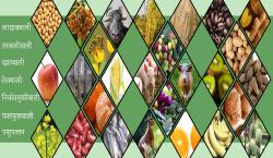 बाली / बस्तु